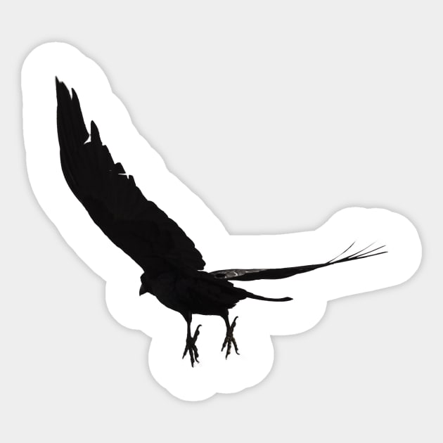 Raven - Spread Your Wings Sticker by DyrkWyst